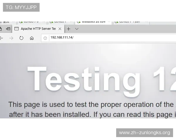 访问尊龙官方网官方平台，享受专业客服全天候在线服务保障
