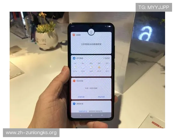 Z6在线官方客户端下载指南，详细步骤帮助新手快速上手游戏