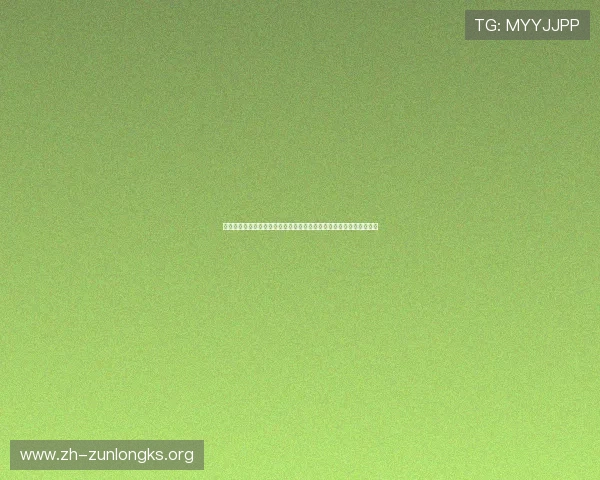 新西兰对比利时比赛攻防表现对比分析帮助球迷掌握比赛核心战术变化